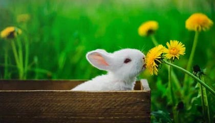 开云体育-英超正式“脱欧”新规出炉：外援评分拿证U21遭限流